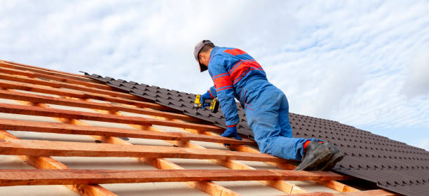 Best Roof Installation  in Winchester, NV