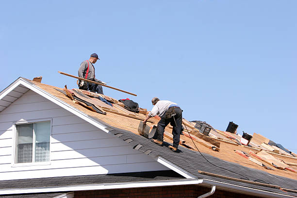 Best Asphalt Shingle Roofing  in Winchester, NV